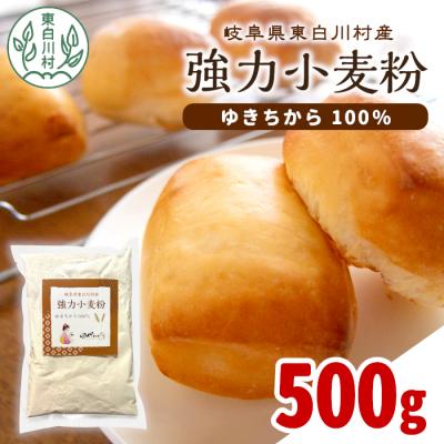 ふるさと納税 東白川村 岐阜県 東白川村産 強力粉 小麦粉 ゆきちから 500g