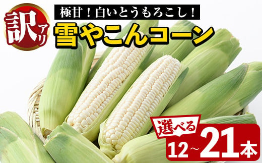 
            ＜容量が選べる！＞訳あり！数量限定！極甘！白いとうもろこし「雪やこんコーン」(12～21本) 国産 トウモロコシ 玉蜀黍 ホワイト コーン 野菜 糖度 夏 イネ科 数量限定 期間限定 訳アリ【うとさんち】
          