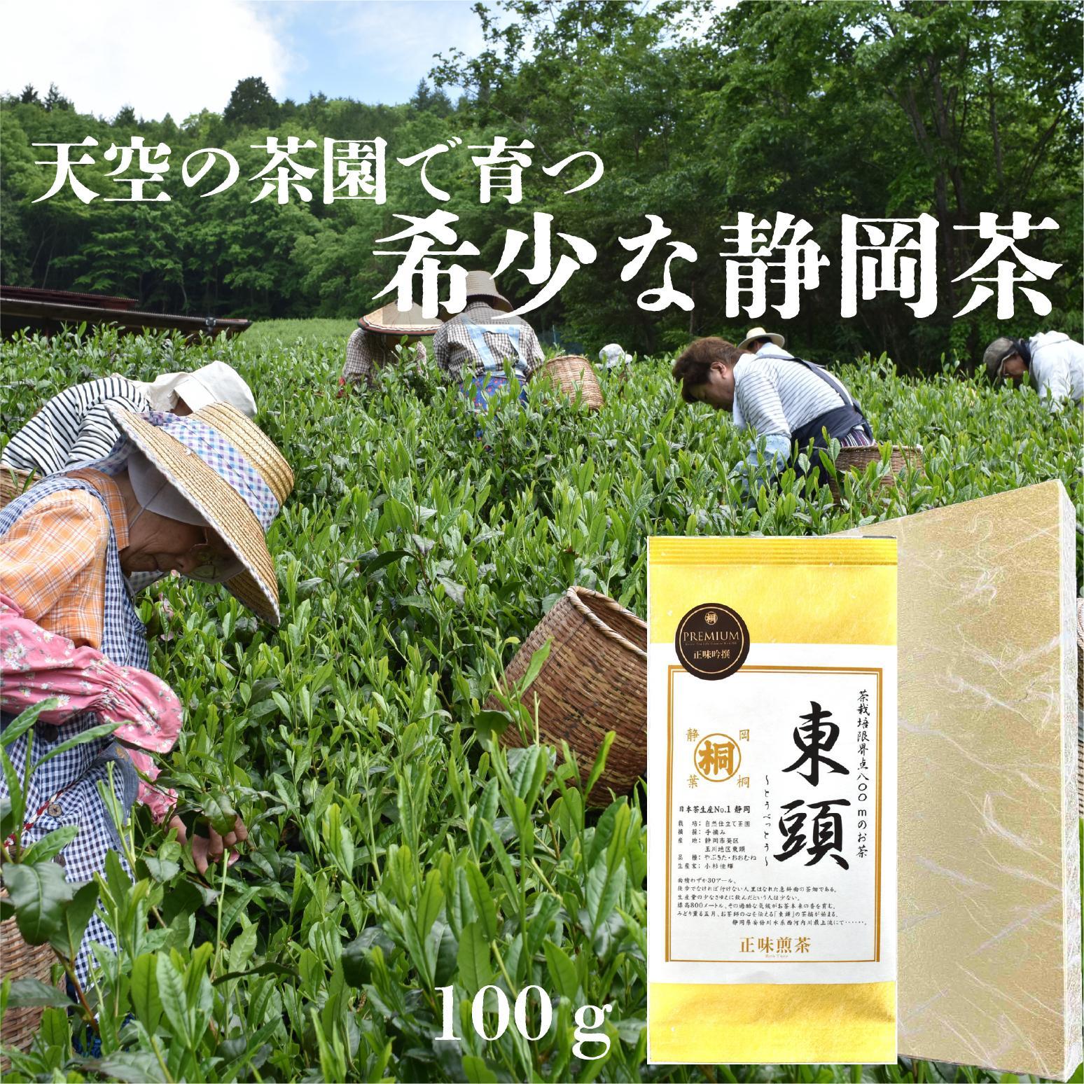 【ふるさと納税】静岡茶 東頭100g 1本入り とうべっとう