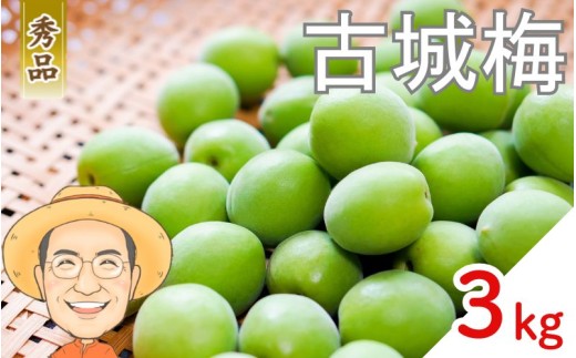 【秀品】古城梅 約3kg (＋保証100g) L～Mサイズ カキエモン農園 【2026年5月下旬～6月中旬頃順次発送】 和歌山産 梅干し 梅酒 梅シロップ 果実 うめ 梅 ウメ カキエモン 農園 送料無料 なんこううめ なんこうばい なんこう梅 加工用 家庭用 紀州【BX-kkem021】