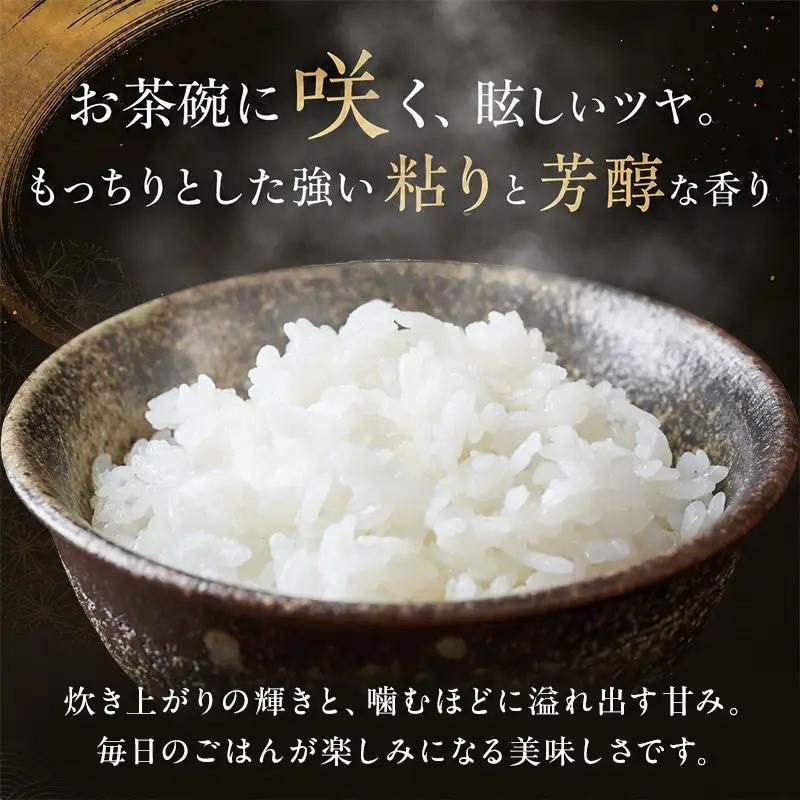 【令和8年産 先行予約】 魚沼産コシヒカリ 精米 20kg（5kg×4）