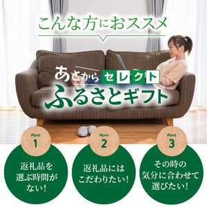 あとからセレクト【ふるさとギフト】100万円 ギフト券 ギフト 券 クーポン ラムネ 編針 お酒 スイーツ 茶筅 お茶 はちみつ アクセサリー 焼菓子 いちご タルト カレー 遊園地 工具箱 食事券 