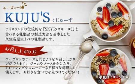 【定期便6回】毎月届く 『KUJU'S くじゅーず』 500g×3パック×6ヶ月 合計9kg 家庭用パックタイプ チーズ プレーン 無糖 乳製品 低脂肪 高カルシウム スキール