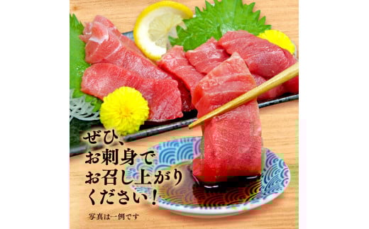 本マグロ 中とろ 800g マグロ トロ 鮪 海鮮 晩酌 冷凍 刺し身 まぐろ さしみ 柵 皮付き 海鮮丼 人気 小分け 中トロ 刺身 お刺身 国産マグロ 漬け ネギトロ 産地直送 赤身 冷凍 静岡 