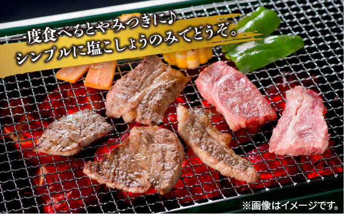 【全3回定期便】極上やみつき五島牛カルビ 600g【肉のマルヒサ】 [PCV016]