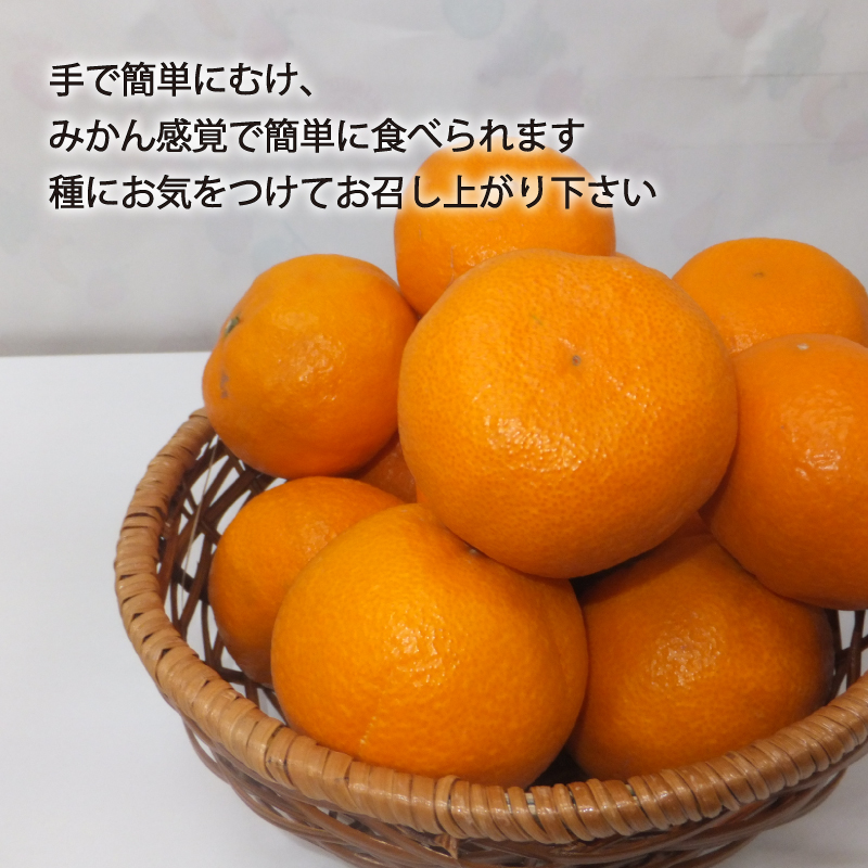 【先行予約】【2026年4月上旬～5月下旬頃順次発送】  カラマンダリン 2kg（2L～S）｜先行予約 カラマンダリン 柑橘 カラマンダリン 取り寄せ カラマンダリン 甘いみかん 春のみかん カラマン
