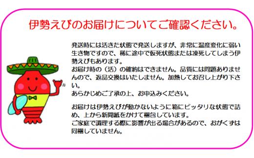 お申込前に必ずご確認ください