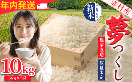 赤村産米 農家直送 【数量限定】 精米 夢つくし 10kg 4U1
