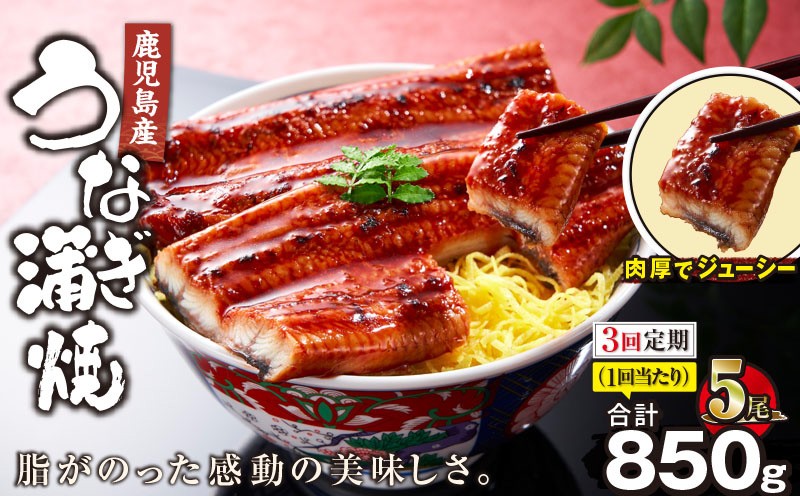 
                  【全3回定期便】鹿児島産うなぎ蒲焼 170g×5尾 清らかな地下水育ち！　KN021-T33
                