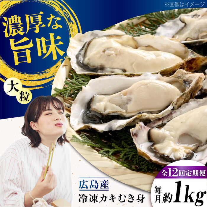 【ふるさと納税】【全12回定期便】こだわり大粒 牡蠣 むき身【瞬間冷凍】約1kg 魚介類 海鮮 牡蠣 むき身 冷凍 かき カキフライ カキ ギフト 広島県産 人気 送料無料 広島県産 江田島市/有限会社マルイチ水産[XCU016]