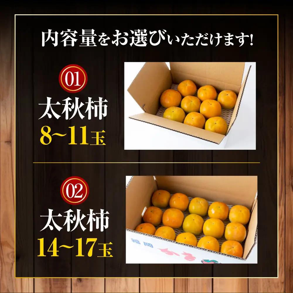 【先行予約】 江藤農園 太秋柿 （2Lから3L） 8玉から11玉 約3kg 【2026年10月下旬から11月上旬 出荷予定】