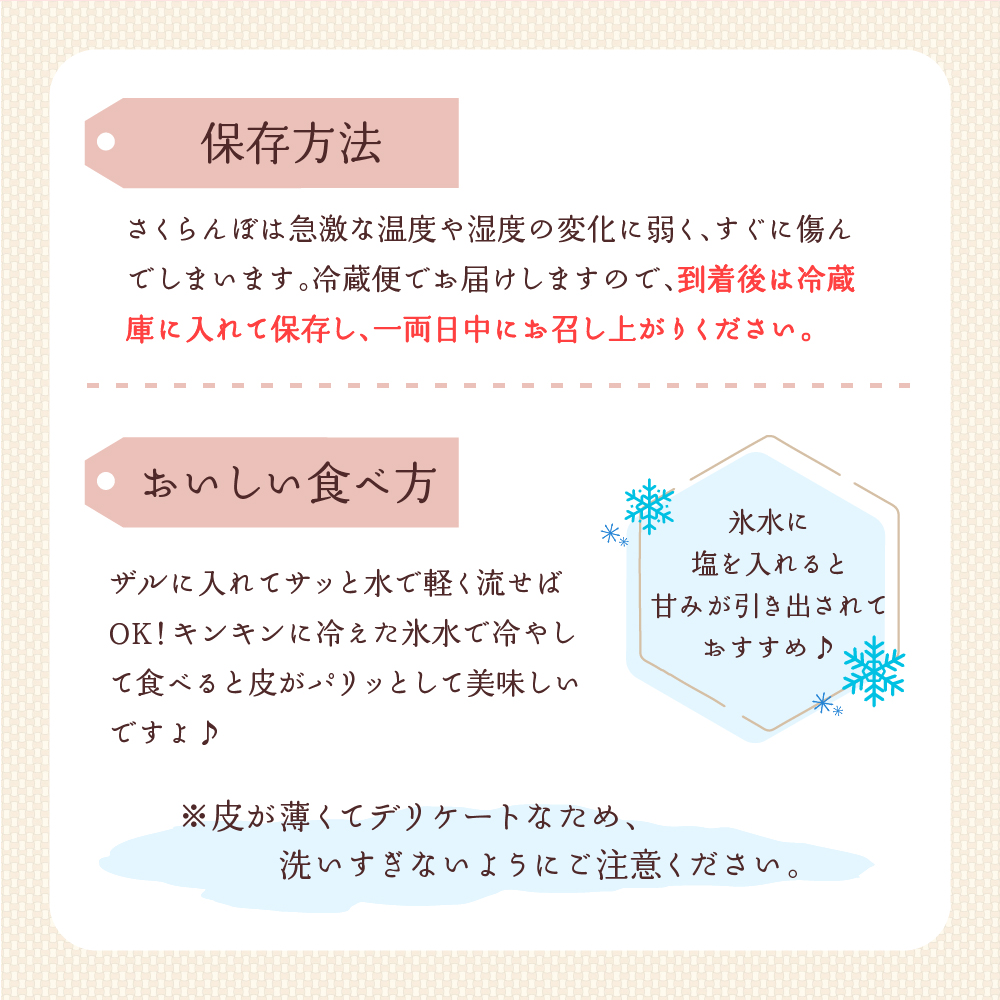  【令和8年産】さくらんぼ 佐藤錦1kg(500g×2パック)  L玉以上 ギフト箱入 秀品 山形県産 【山形eLab】　ka074-034