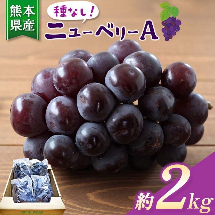 【ふるさと納税】種無し ぶどう ニューベリ—A 約 2kg | 種なし ブドウ 種無し ぶどう 家庭用 葡萄 東農園 産地直送 生産者直送 熊本県 玉名市 送料無料