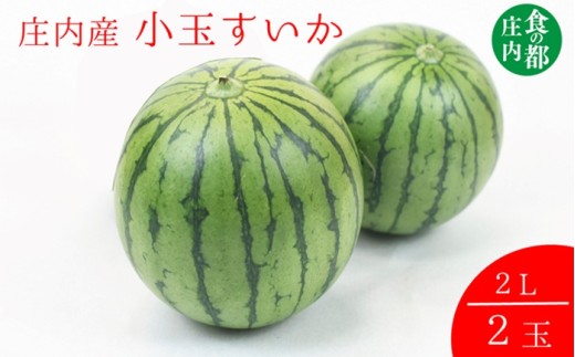 【令和8年産】食の都庄内　庄内の小玉すいか2玉（2L）※令和8年7月上旬頃より順次配送