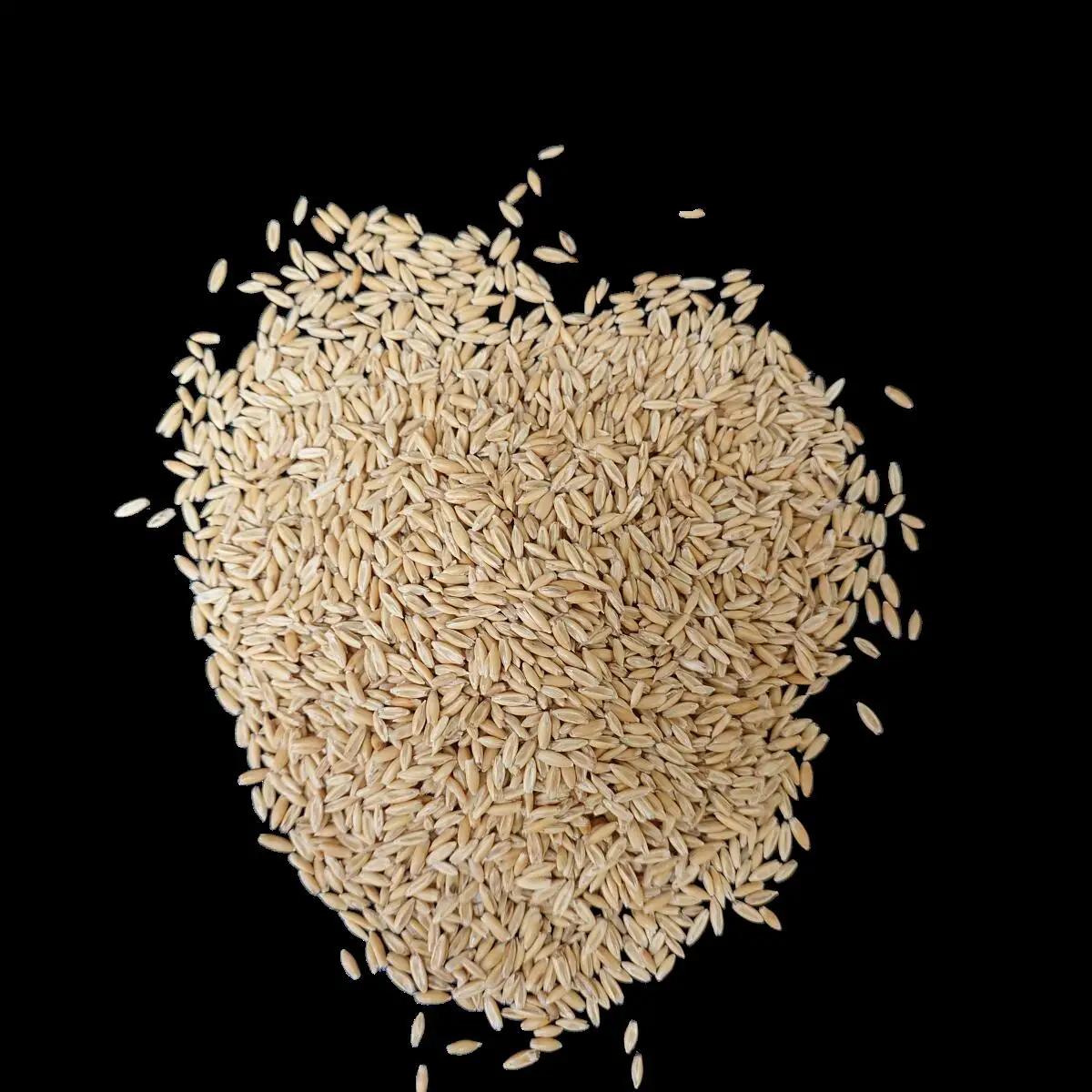 プロ仕様の 無農薬 猫草のタネ 10袋 計2kg (5号鉢で約100回分) [1214]