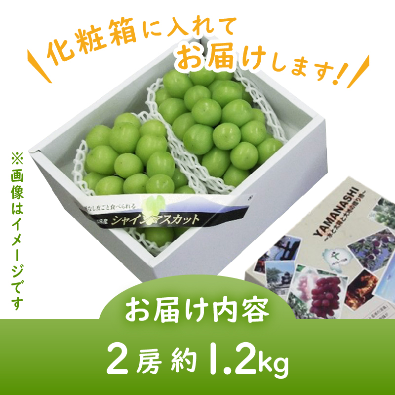 JAフルーツ山梨シャインマスカット2房【80】【2024年発送】B15-102
