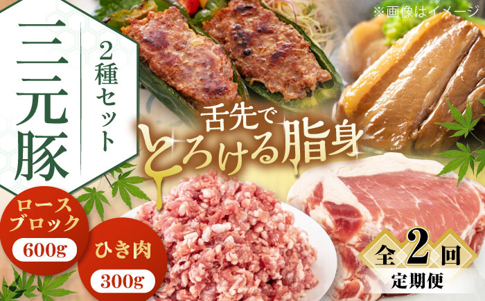 
                  【全2回定期便】平田牧場 2種セット 《喜茂別町》【平田牧場】 肉 豚肉 ブロック ステーキ ステーキ用 ロース ロースステーキ とんかつ ミンチ 豚ミンチ 角煮 北海道 セット [AJAP042] 24000 24000円
                