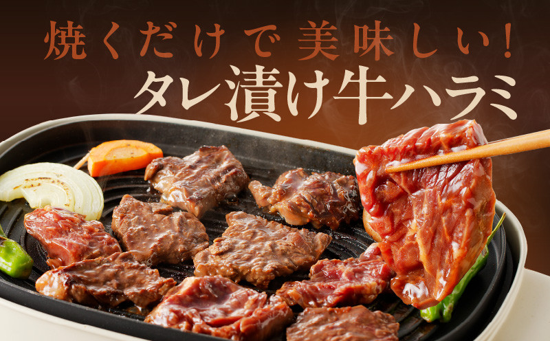 牛ハラミ 定期便 1.2kg 全3回【毎月配送コース 小分け 300g×4 味付き 牛肉 焼くだけ 小分け BBQ やきにく 数量限定】 099Z269