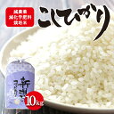 【ふるさと納税】栽培期間中減農薬・減化学肥料栽培米 こしひかり10kg　 お米 白米 ライス 精米 ご飯 新潟県産 新潟市産 おにぎり お弁当 和食 ブランド米 　お届け：寄附入金確認後、順次発送