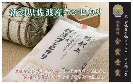【新米・先行予約】30kg 新潟県佐渡産コシヒカリ30kg(5kg×6)