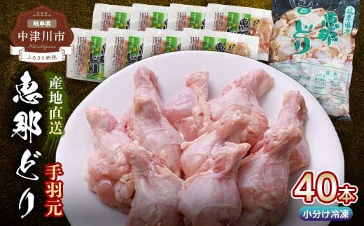 産地直送！恵那どり手羽元 5本×8パック 冷凍 F4N-2396