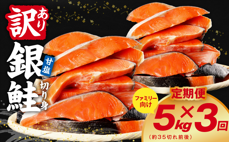 【定期便】銀鮭 切り身 5kg(約35切れ前後) 全3回【訳あり 規格外 甘塩 バラ凍結 海鮮 魚介 鮭 さけ しゃけ お弁当 朝食 おかず 簡単調理 家計応援 大阪 泉佐野 大阪府 泉佐野市】