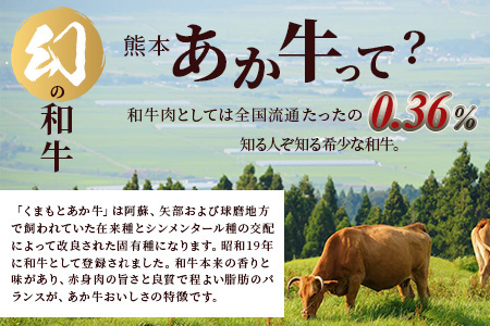 【 定期便 12回 】 熊本あか牛 焼肉用カット ( バラ ・ ロース ) 500g × 12回 【 合計 6kg 】 国産 牛肉 冷凍 熊本 熊本県産 あか牛 赤牛 切り落とし 041-0166