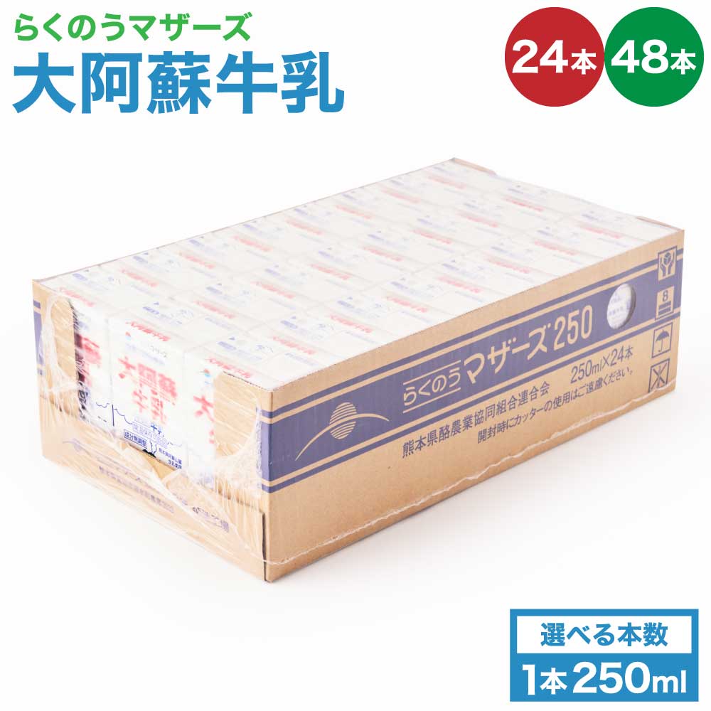 【ふるさと納税】 牛乳 大阿蘇牛乳 24本 もしくは 48本 1ケース（250ml×24本入） 常温保存可能