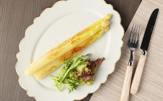 まるで果実!? ホワイトアスパラガス 極太（500g）