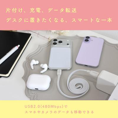 ふるさと納税 海老名市 マグネットフラットケーブル 磁力でまとまる ラテグレージュ (MOT-MGFAC100-GY) |  | 03
