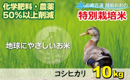 【先行予約】【令和6年産 新米】こしひかり 10kg【白米】減農薬・減化学肥料 「特別栽培米」地球にやさしいお米[A-003008]