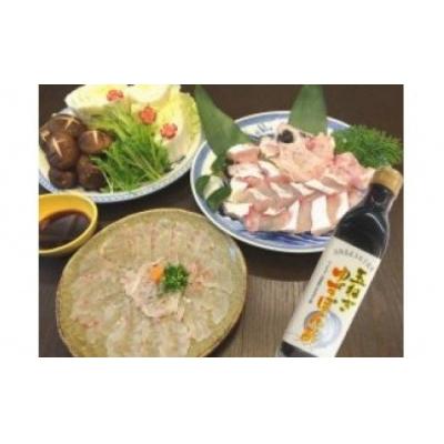 ふるさと納税 南あわじ市 クエ切身・刺身セット　ポン酢付き