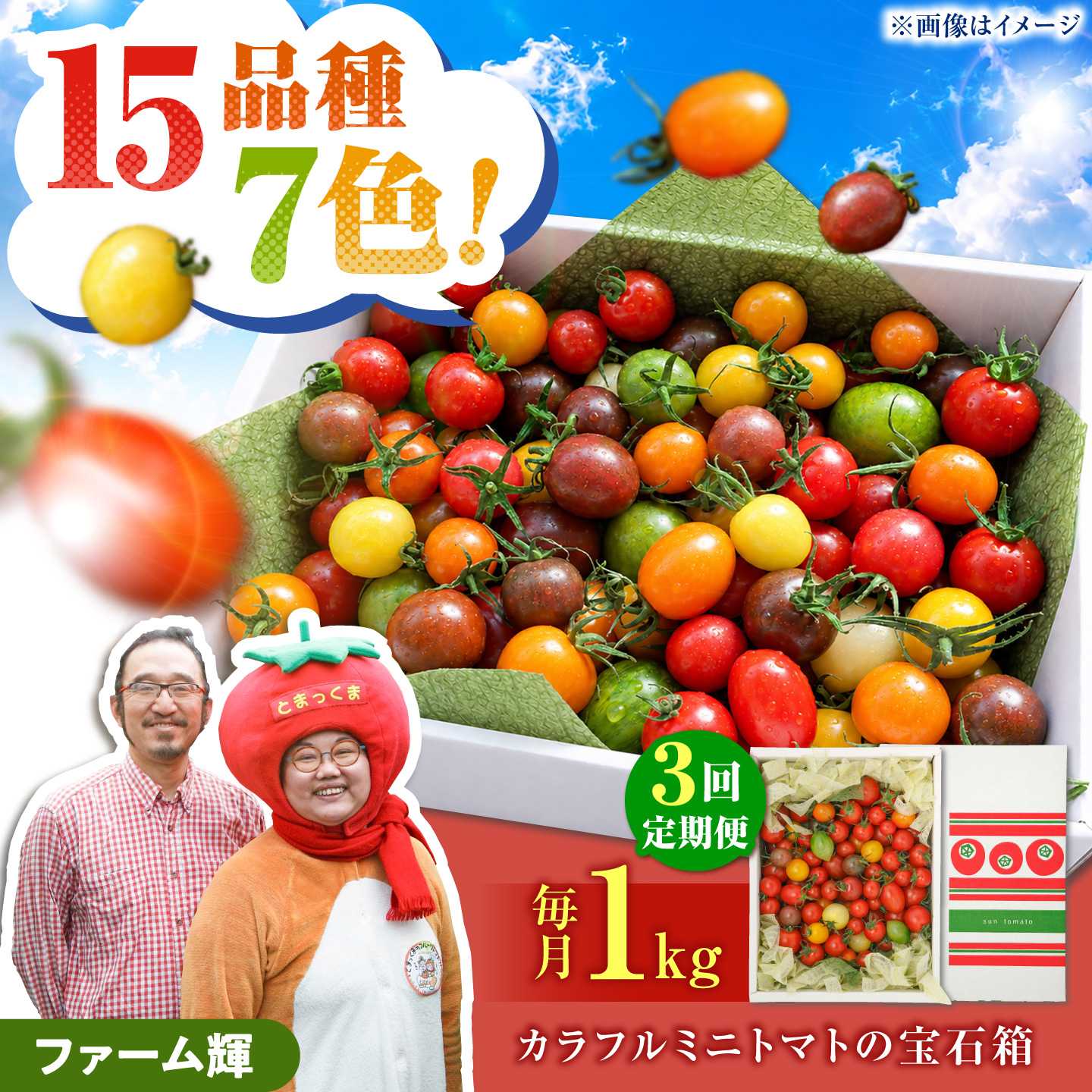 【ふるさと納税】【全3回定期便】15品種7色の彩り/カラフルミニトマトの宝石箱約1kg×3回〈2026年12月から配送開始〉定期便3ヶ月 約1kg トマト とまと 詰め合わせ セット 15品種以上 野菜 料理 サラダ マリネ パスタ 浅漬け おやつ 弁当 高知県土佐市/ファーム輝[BQBM008]