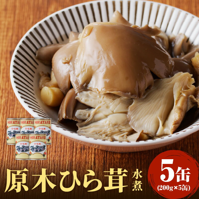【ふるさと納税】 大江町柳川産 原木ひら茸水煮200g×5缶(固形量）