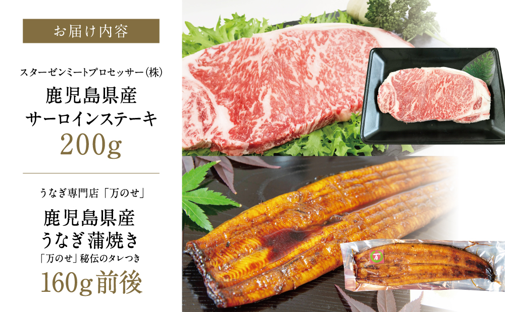 鹿児島県産黒毛和牛サーロインステーキ＆国産うなぎ蒲焼き スタミナセット（同梱発送） 牛肉 サーロイン 国産 鰻 贈答 冷凍 スターゼン ギフト 南さつま市