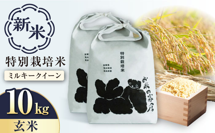 
            【新米：令和6年産】特別栽培 ミルキークイーン 5kg 玄米 ×2袋　滋賀県長浜市/株式会社お米の家倉 [AQCP021] 米 お米 玄米 新米 10kg 
          