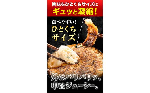 ひとくち餃子 ひとくち鶏餃子 180個(45個×4袋)《30日以内に出荷予定(土日祝除く)》 福岡県 一口餃子 はかた一番どり ---sc_ffyhktgz_30d_24_14000_180i---