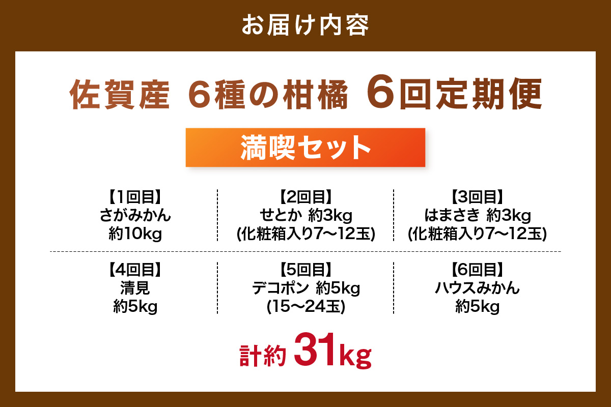 佐賀産 柑橘6種定期便 満喫セット【全6回】999-B862