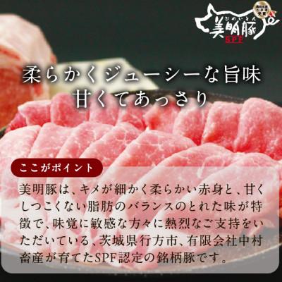 ふるさと納税 行方市 美明豚「びめいとん」のジューシー餃子 30個×2袋 |  | 01