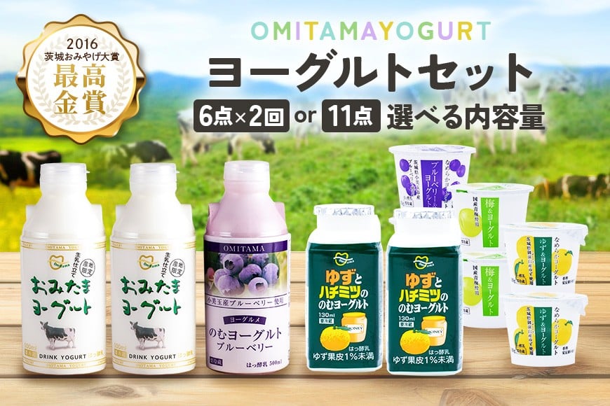 
            おみたまヨーグルト のむヨーグルトセット ドリンクタイプ 500ml 飲むヨーグルト 乳酸菌飲料 ヨーグルト飲料 フルーツヨーグルト 詰め合わせ ドリンクタイプ フルーツ オミタマヨーグルト 小美玉市 1-SKU-C
          