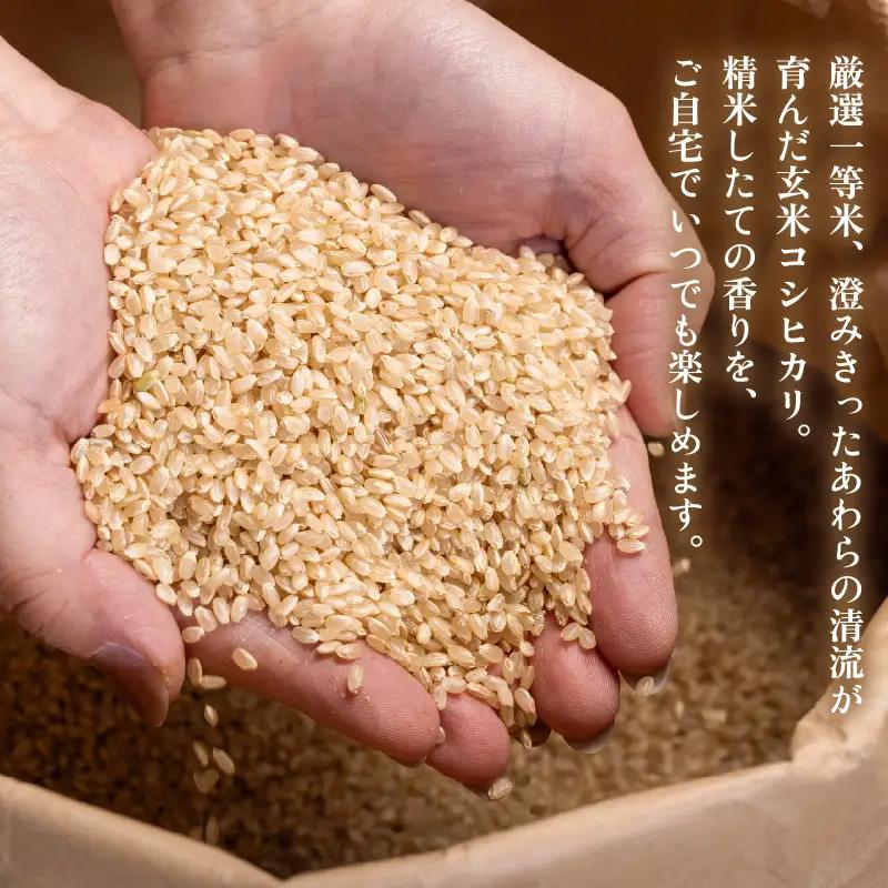 【先行予約】【令和8年産・新米】コシヒカリ 玄米 20kg / コシヒカリ 米 こしひかり【2026年9月下旬より順次発送予定】 [aw096-d004]