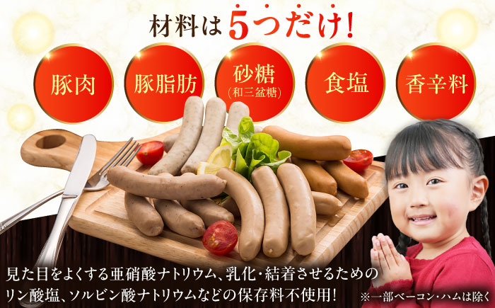 【全12回定期便】【結着剤・発色剤・保存料不使用】 放牧豚 ハム・ソーセージ＆スライス肉セット（ハム・ソーセージ9種/スライス肉4種） 《厚真町》【ファーマーズファクトリー株式会社】  ハム ソーセー