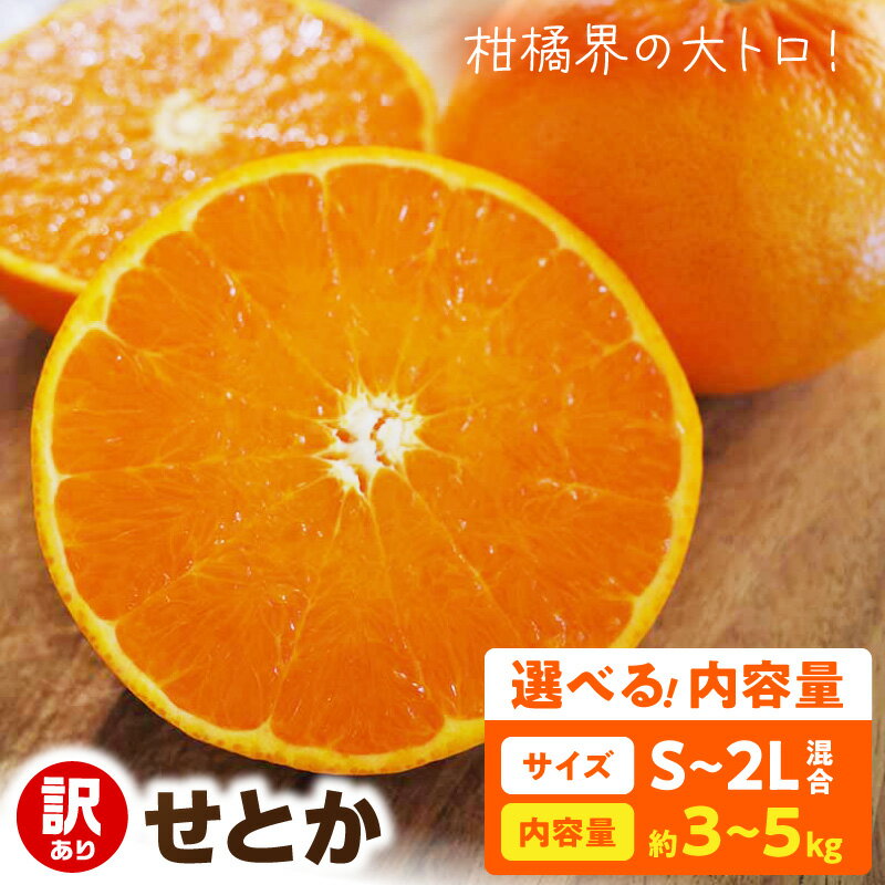 【ふるさと納税】【2027年先行予約】 訳あり せとか 選べる内容量 約 3kg 5kg S〜2Lサイズ混合 家庭用 トロリ食感 濃厚 ジューシー 甘い みずみずしい フルーツ 果物 産地直送 お取り寄せ 柑橘 和歌山県 湯浅町 送料無料