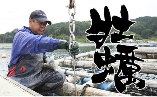 【2025年12月前半発送】牡蠣のガンガン焼きと海の幸 セット 〈殻付き牡蠣 / 牡蠣オイル漬け / ホヤむき身 / 塩蔵わかめ〉【 牡蠣 かき 殻付き ホヤ わかめ 詰め合わせ 人気 国産 三陸産 】RT793