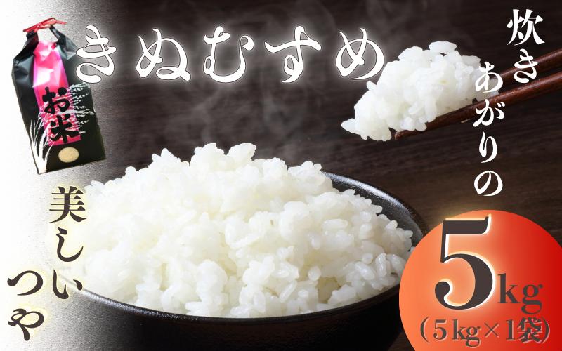 
                  ☆11月上旬より発送予定☆自然豊かな高野山麓の水、土に育てられた、きぬむすめ(5kg)＜2026年収穫＞
                