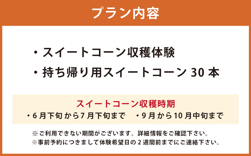 F6 アッキーファーム スイートコーン収穫体験（スイートコーン30本込み）