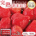 【ふるさと納税】[ 先行予約 ] 産直だからできる超完熟！ 武下さんちの「完熟あまおう」 3Lサイズ【450g・900g】 いちご 甘い 完熟 あまおう 苺 ストロベリー 大粒 産地直送 産直 フルーツ 果物 くだもの 福岡県 大川市 プレゼント ギフト 贈り物【2025年1月～4月納品分】