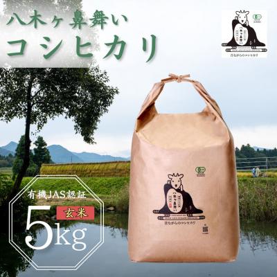 ふるさと納税 三条市 八木ヶ鼻舞い オーガニックなコシヒカリ 玄米 5kg 令和7年産【019S020】