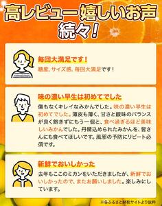 【先行予約】完熟ゆら早生みかん☆贈答用☆4.5kg ※2025年11月上旬頃より順次発送予定 / 和歌山県 柑橘 みかん 甘い 蜜柑 フルーツ 果物 くだもの 食品 人気 晩柑 おすすめ 送料無料 産