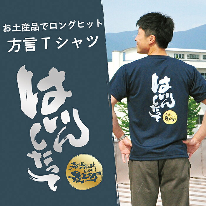 【ふるさと納税】方言Tシャツ【はいんしたって】